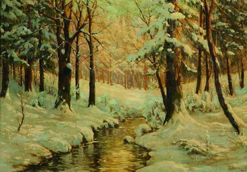 Winterwald am Brocken im Harz